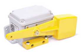 Eletrosil counterbalance control limit switch