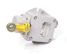 Lever Limit Switch with Pulley Eletrosil